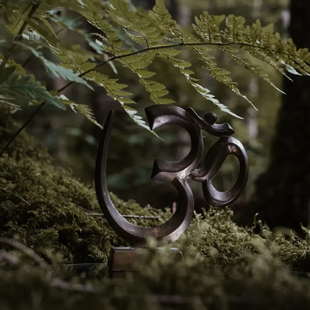 Om-Symbol im Wald, umgeben von einem Farn und Moos